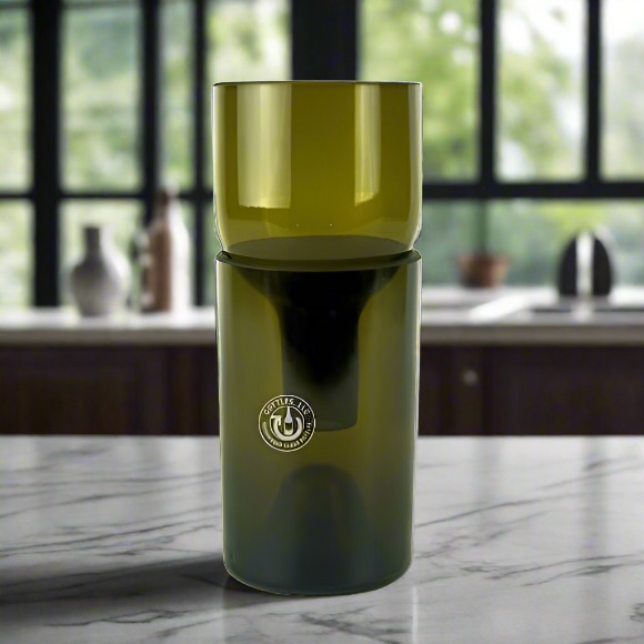 Wine Bottle Hydroponic Planter