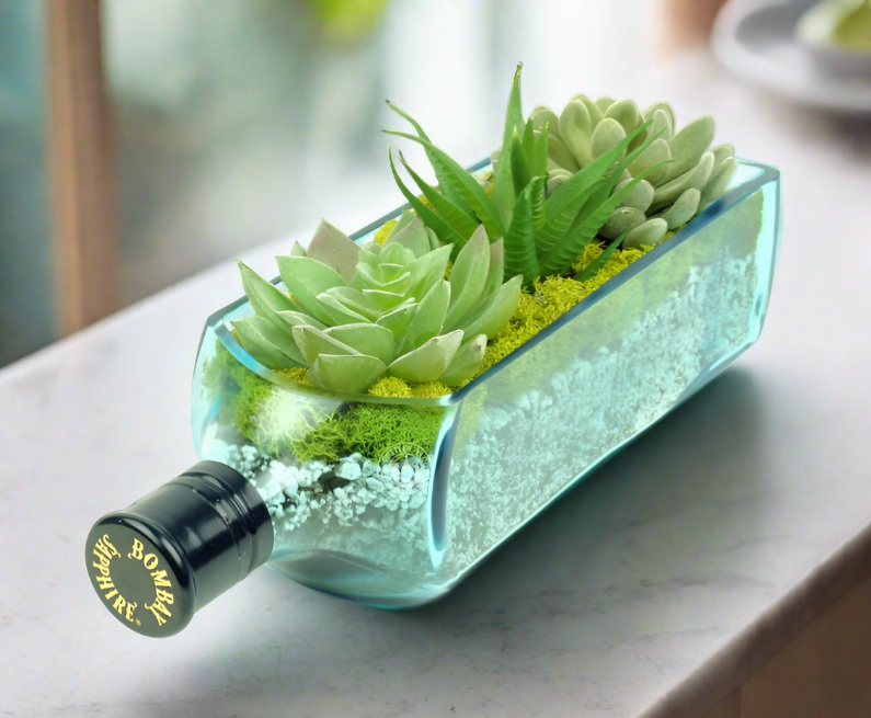 Bombay Sapphire Gin Bottle Planter