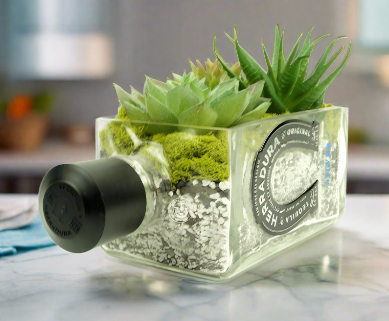 Herradura Tequila Bottle Planter