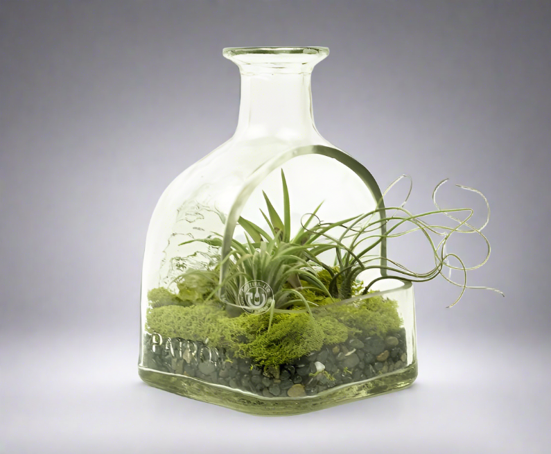 Patron Tequila Bottle Hanging Planter