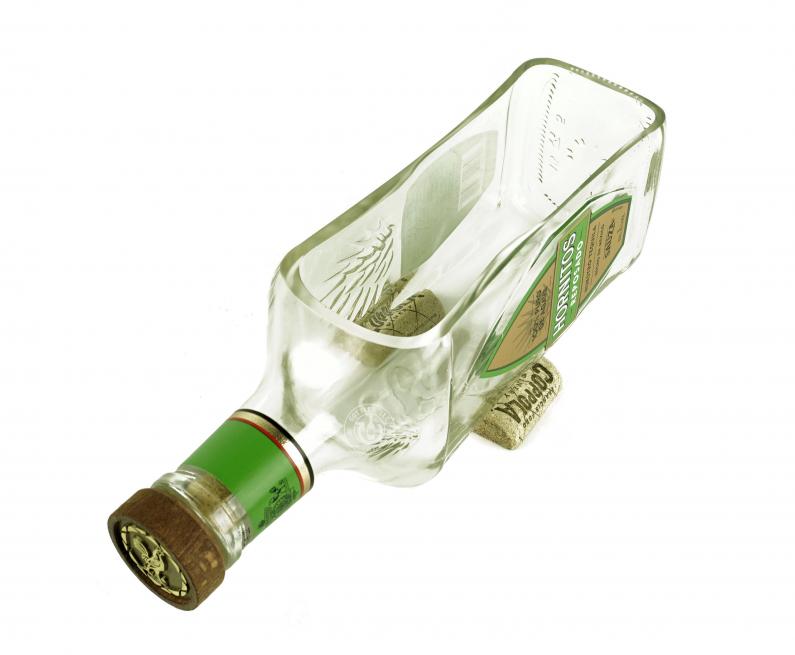 Hornitos Tequila Bottle Planter