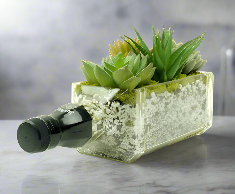 money plant in whiskey bottle Jack Daniel's Whiskey Bottle Planter