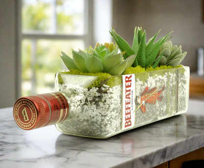 Beefeater Gin Bottle Planter