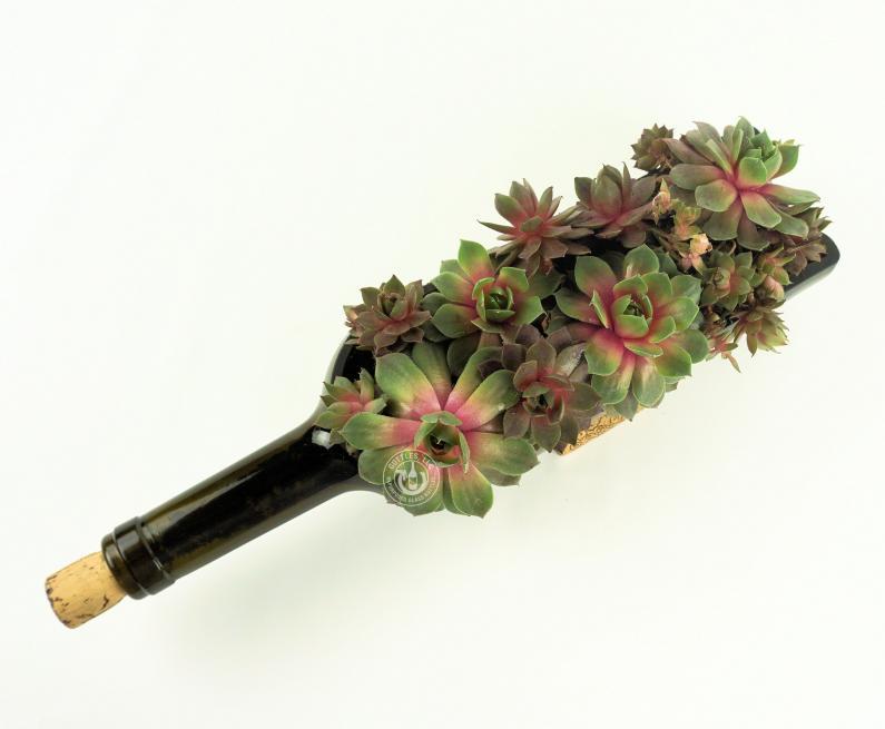 Wine Bottle Planter Set